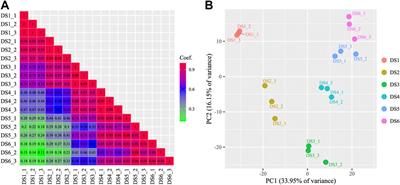 Dynamic Expression and Gene Regulation of MicroRNAs During Bighead Carp (Hypophthalmichthys nobilis) Early Development